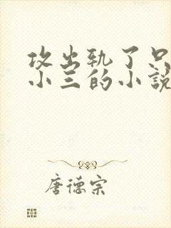 攻出轨了只爱男小三的小说