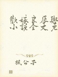 欢嫁良辰与君绝小说全文免费阅读封面