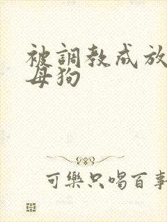 被调教成放荡小母狗封面