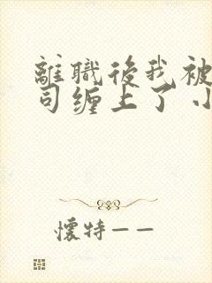 离职后我被前上司缠上了 小说