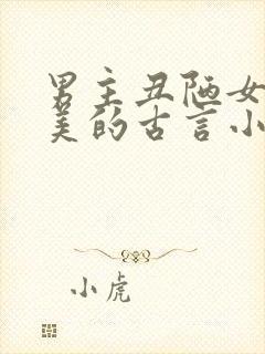 男主丑陋女主貌美的古言小说