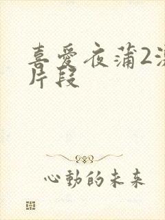 喜爱夜蒲2激情片段