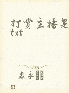 打赏主播是我哥txt