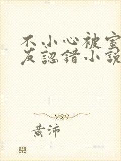 不小心被室友男友认错小说