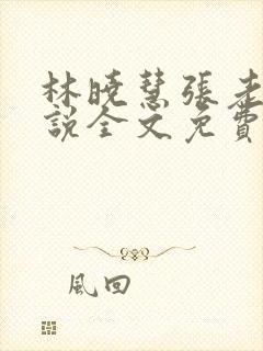 林晓慧张老头小说全文免费阅读最新