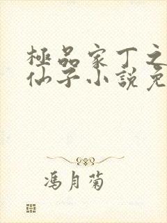 极品家丁之炮轰仙子小说免费阅读