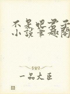 不是吧君子也防小说笔趣阁封面