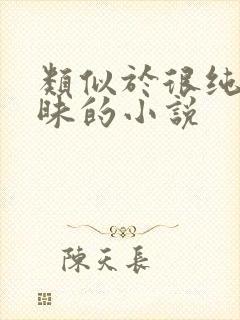 类似于很纯很暧昧的小说