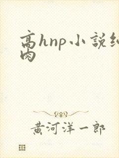 高hnp小说纯肉