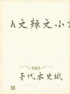 h文辣文小说网