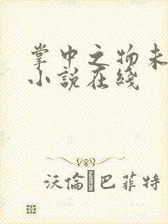 掌中之物未删减小说在线封面