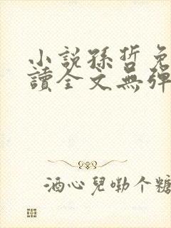 小说孙哲免费阅读全文无弹窗