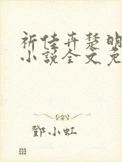 祈佳卉楚明衍的小说全文免费阅读封面