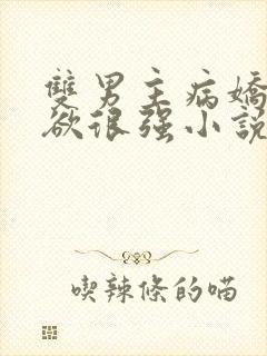 双男主病娇占有欲很强小说推荐完结