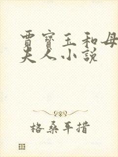 贾宝玉和母亲王夫人小说