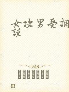 女攻男受调教小说