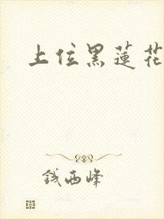 上位黑莲花封面