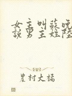 女主叫苏晚的小说男主姓陆