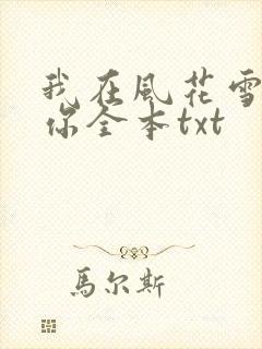 我在风花雪月等你全本txt封面