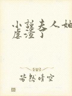 小说夫人她又在虐渣了