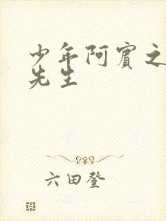 少年阿宾之房东先生