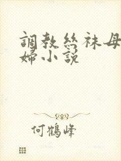 调教丝袜母狗熟妇小说