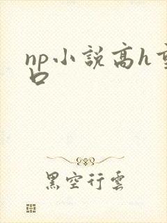 np小说高h重口封面