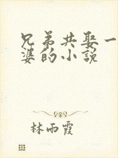 兄弟共娶一个老婆的小说