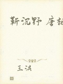 靳沉野 唐栖雾