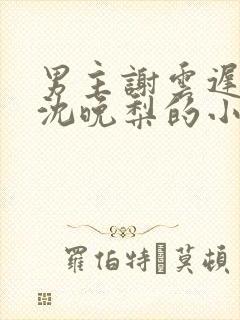 男主谢云迟女主沈晚梨的小说免费阅读封面