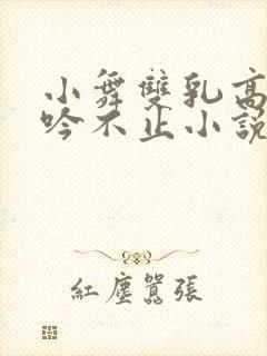 小舞双乳高耸呻吟不止小说