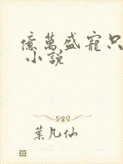 亿万盛宠只为你 小说