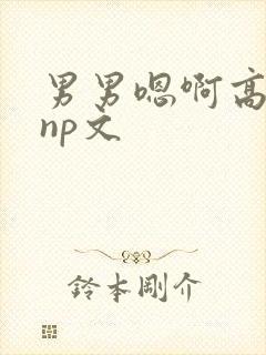 男男嗯啊高h黄np文