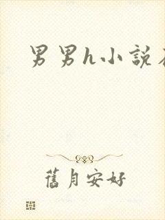 男男h小说在线