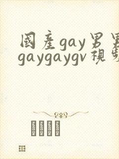 国产gay男男gaygaygv视频