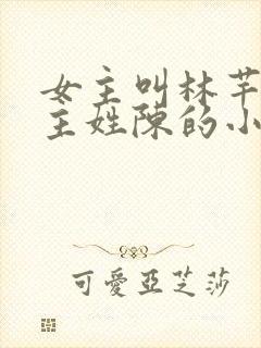 女主叫林芊芊男主姓陈的小说