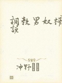 调教男奴榨精小说