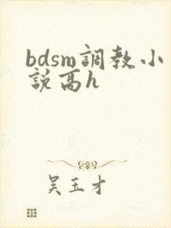bdsm调教小说高h封面