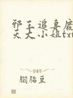 邪王追妻废材逆天大小姐txt下载