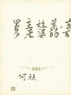 男主姓叶,有很多老婆的玄幻小说