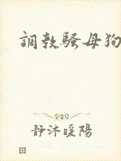调教骚母狗小说