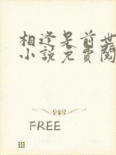 相逢是前世注定小说免费阅读