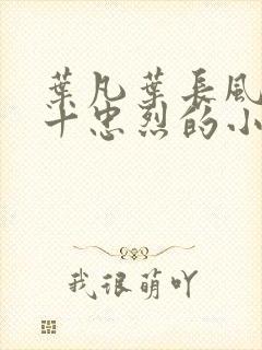 叶凡叶长风一门十忠烈的小说封面