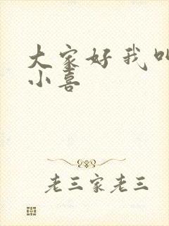 大家好 我叫林小喜封面