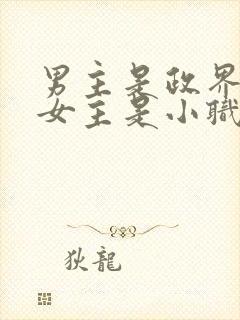 男主是政界高官女主是小职员