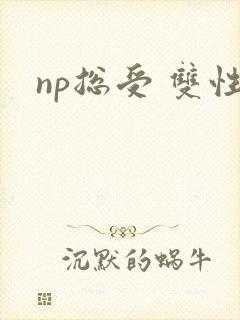 np总受 双性
