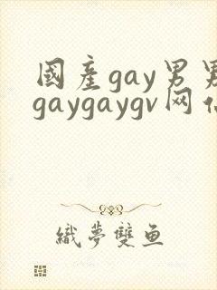 国产gay男男gaygaygv网站封面