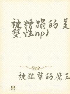 被糟蹋的美人(双性np)