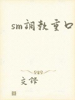sm调教重口文封面