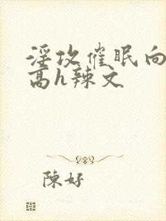 淫攻催眠向np高h辣文